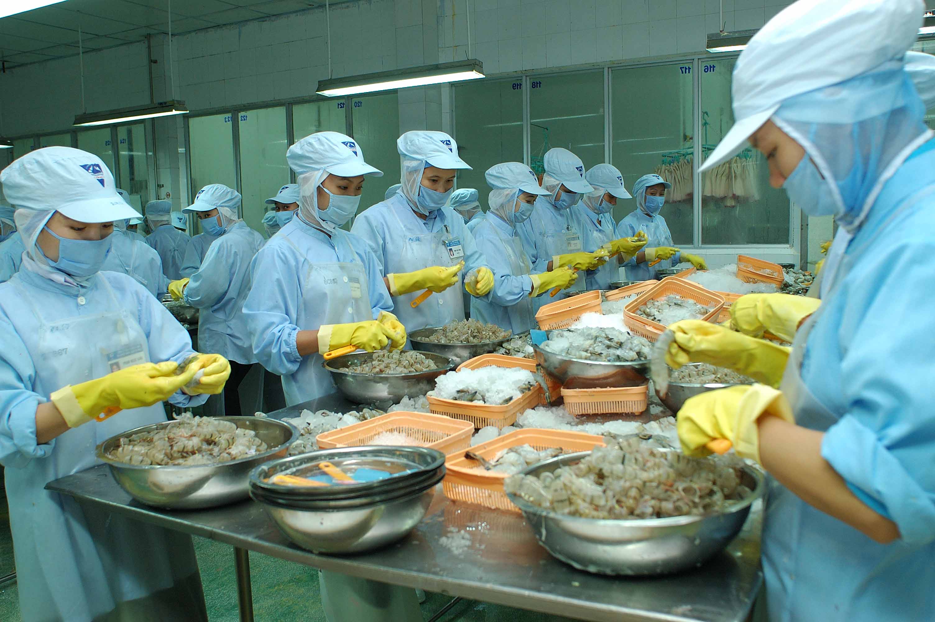 Tổng cục thủy sản > VietNam Fisheries > seafood processing